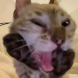 b28e0840b2ae9ad04a0bc37a2ef93b69.png
