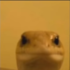 e12b4544cf3cef2fcac28b2679fa09ea.png