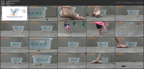 13ccd1115657b7ac53af33543ded7fe4.jpg