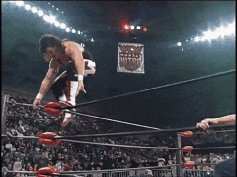 8b021305f0f5338fab9d40ee71650629.gif