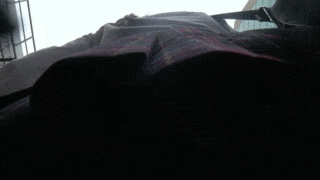 a5c9e8219886e438cd30d053a375f716.gif