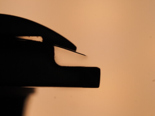 c4d304a3612fa3fdc84abd64a04c4e62.jpg