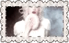 c6310cdb3d8e5ce47b3355ac89f10dfa.gif