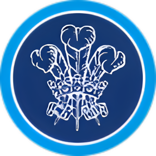 d694c2253d1aa808c219bdfe96fdc4c2.png