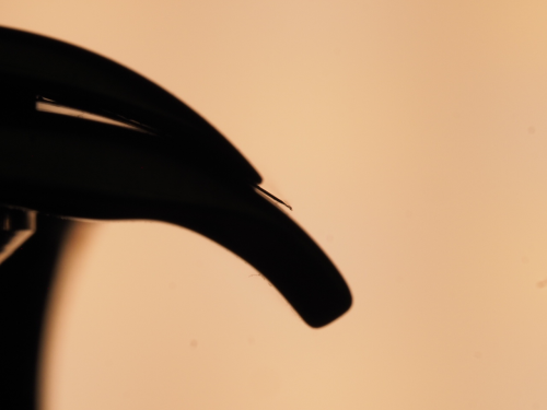 72a31f5f27bbd165a8153506d8aaee14.png