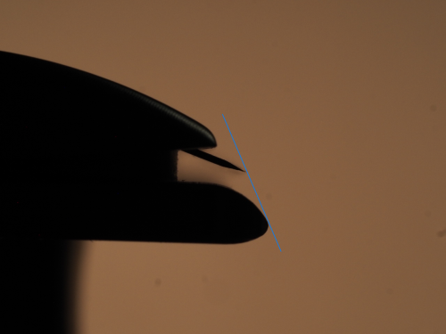 a05f07d235125f54a2c673c916ece365.png