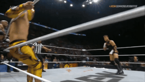 060010c5b66b95433bd12d61cebeaa69.gif