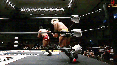 32cefe46a25ff179cc149164c50b38bb.gif