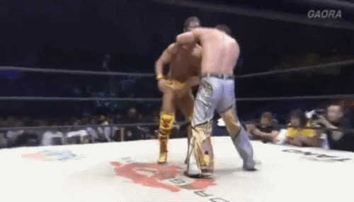 aa820556a39102e6799708d9d3ba75d1.gif