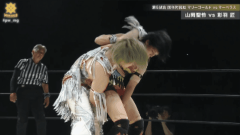 aaf2d30940f4db37140ca16e3427416d.gif