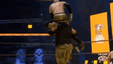 bb587aa2a30c36dbccc11e5eb3ac75c4.gif