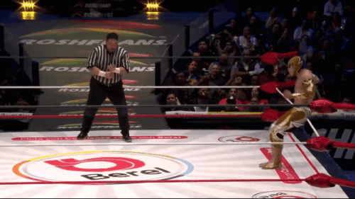 c209a18041c9e47026072896d4b654ff.gif