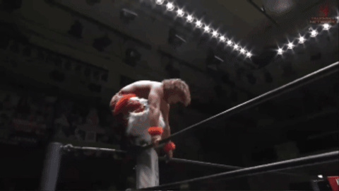d33bb0a5383933316f0d5f2ec486d916.gif