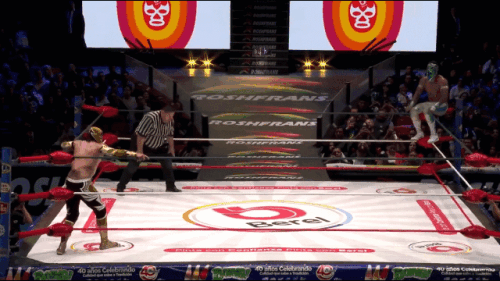 d6c0fe395105ea5ebfe1aa3285b85bb2.gif