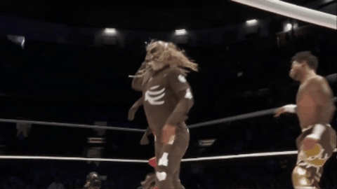 d94e59ce3cd2a2c569154f5fb1363b27.gif