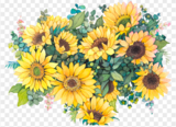 1d6c3fa2d13cbfd15ca81a32ef0b8122.png