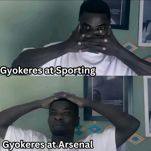 b4de5298473888de64bfc41819ab779d.png
