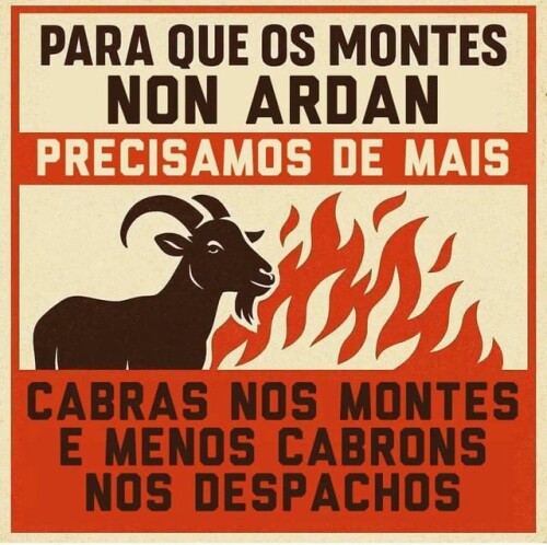 1197479ab194333b8354ae8328f26360.jpg