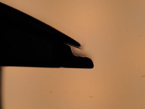 4a2256afd1bc1bcbca779aea7e58e793.jpg