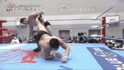 308ca399a8b26236e8e57b109c14e60f.gif