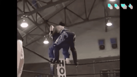 44a5d23a4b0b34bcae72ce077e2826bc.gif