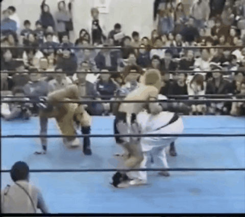 54aa2fb62481cdb0e3f8302ff91a4a3a.gif