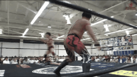 595479c1b96a9a16d2f64c998f972e27.gif