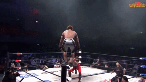 731ecba31c402abaee7405a8e9c2c80e.gif