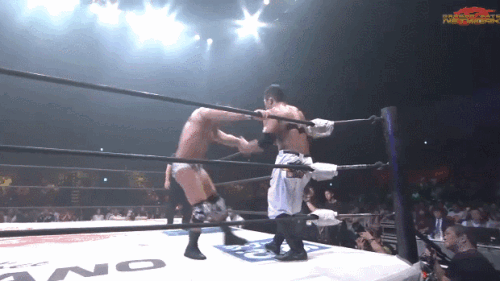 80ebd3d32d3552c751f21c37444d91ea.gif