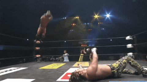 a3a72196d5893c88a384145e92103291.gif