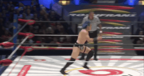 e934ab668bf2eb305667b03f31ae2fa8.gif