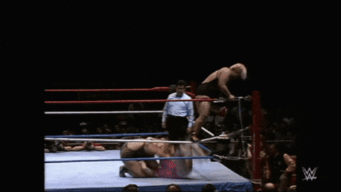 8b12880d7effbf5b049cedddf8aafb95.gif
