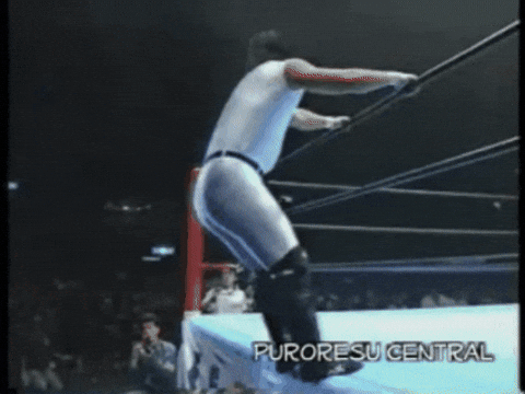 9a9edbc1d364fd337a2495d238aea17a.gif