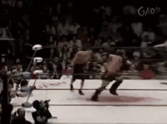 b0e45b277d9a919b8d0a3049093ad38d.gif