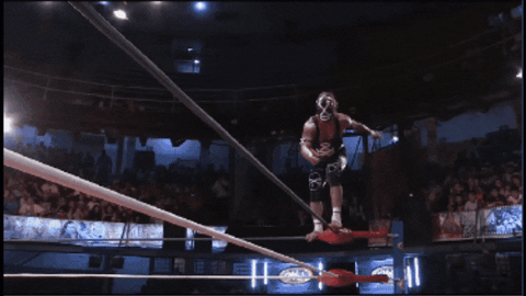 f2e7e57ed3f52945f17f96ce980c48a6.gif