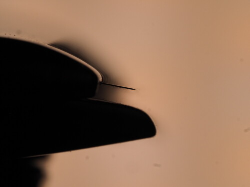 af3d1e232326f5afb90c9e675ba749c3.jpg