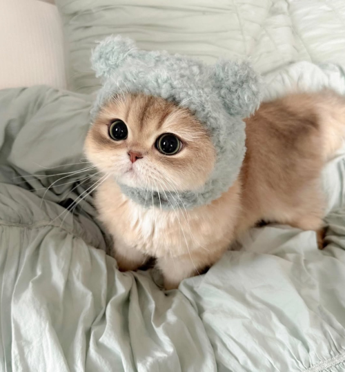 1228aa2311af93dd5bb0eba110927b13.png