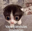 77b3facec140008ff614b12681d8fd00.png