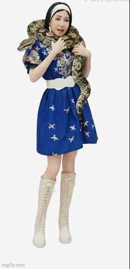 004d367d439af625a7ed519613543b5e.gif