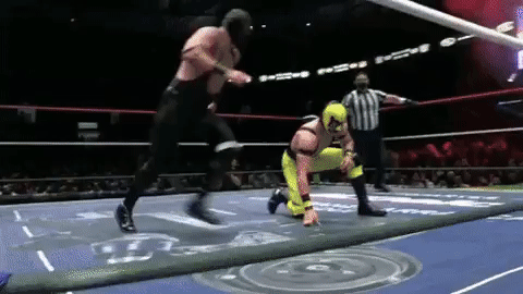 12fe834b1f0a21997706c6eaf95a372d.gif