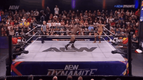 25113ca269e1ff98076eb7d1e0d3c8ec.gif