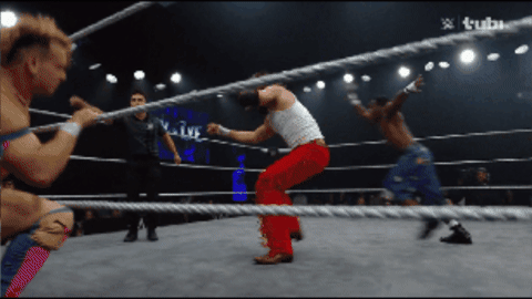 3105faf20b31adbfb786aabc29c22fb8.gif