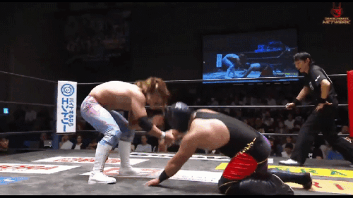 77034e5be53b512f9dd5a713d46a16e3.gif