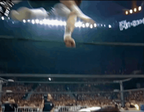 7a5bc4a40208cd18fd6eb8d6e3926494.gif