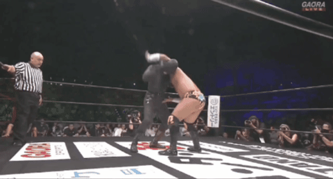 83d60e59556c1215794250cb124e978c.gif
