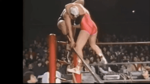 a49d7b75c81f56ca493f1e1af1a5ea6b.gif