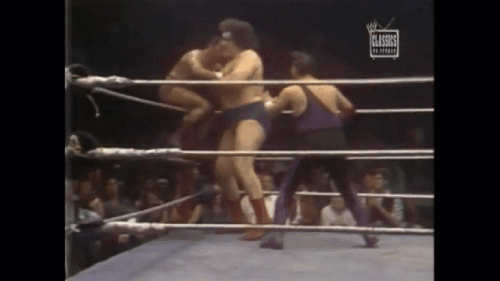 bbbd1950d9fcaad0aafde9d963c03550.gif