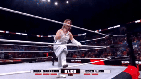bdffc7f38fb6014b990c8ac9e484e963.gif