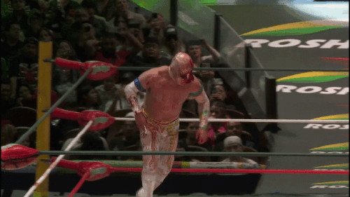 c404384fed504ef0d718d252b867c84c.gif