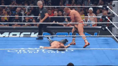cd080402571acfc2897ce2719ba22e7d.gif